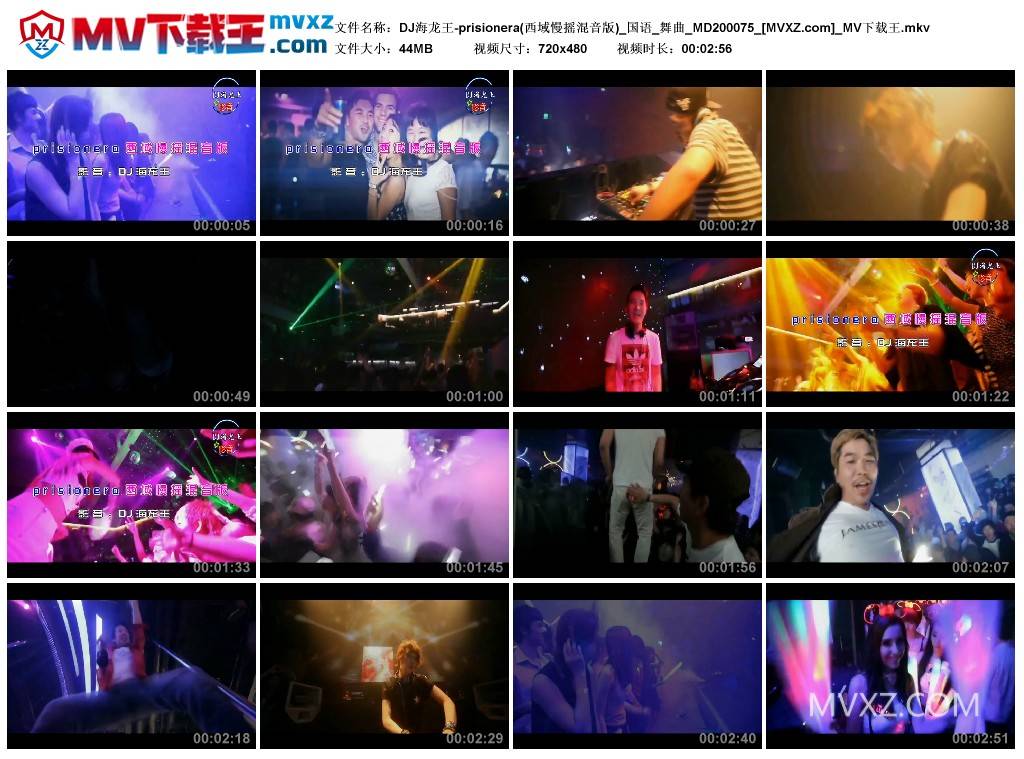 DJ海龙王-prisionera(西域慢摇混音版)_国语_舞曲_MD200075